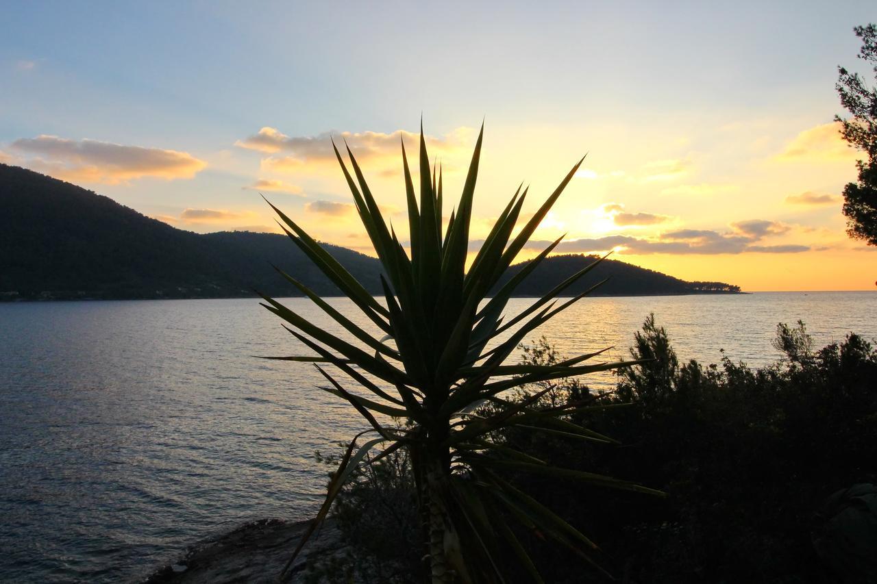 Holiday Home Bili Zal Vela Luka Luaran gambar